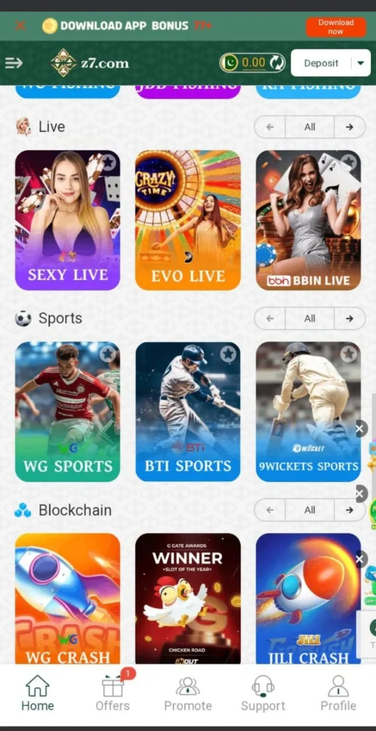 Z7 Game Image